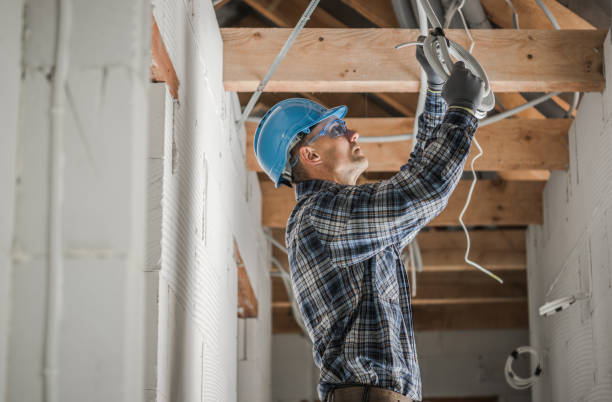 Best Electric Panel Repair  in Ixonia, WI