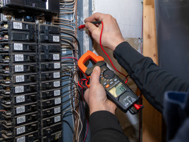 Best Ceiling Fan Installation Electrician  in Ixonia, WI