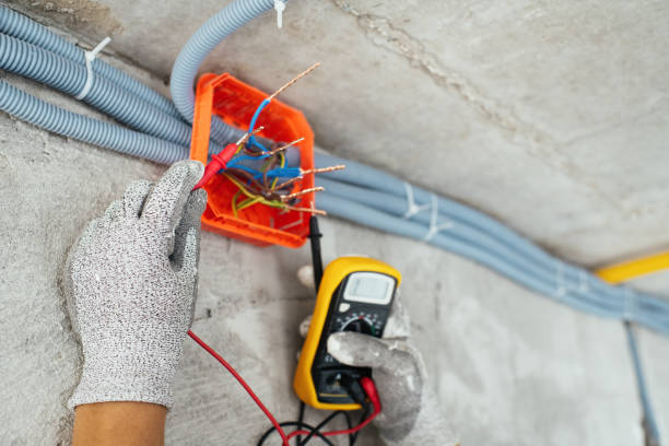 Best Home Electrical Repair  in Ixonia, WI